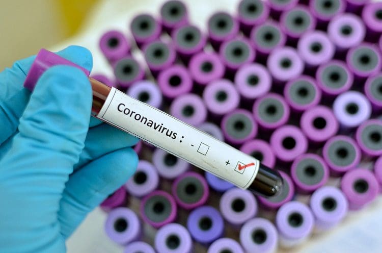 coronavirus vaccine 
